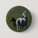 Suche nach fohlen buttons Gras