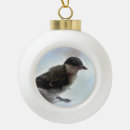 Suche nach wildvogel ornamente Tierwelt