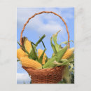 Suche nach mais postkarten Korb