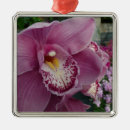 Suche nach orchideen ornamente Lila