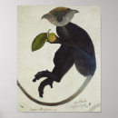 Suche nach spezies poster Zoologie