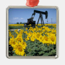 Suche nach öl ornamente Blume