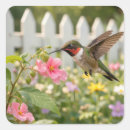 Suche nach kolibri aufkleber Natur