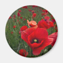 Suche nach attraktiv magnete Schön