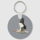 Suche nach weißer pelikan Vögel