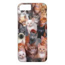 Suche nach katzen iphone hüllen kätzchen