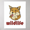 Suche nach niedlicher fuchs poster Wild