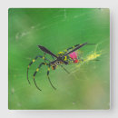 Suche nach spinner wanduhren Tiere