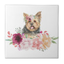 Suche nach yorkshire terrier fliesen Hundefreund