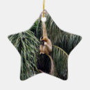 Suche nach monkey ornamente Primat