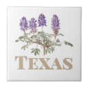 Suche nach lupine fliesen Texas