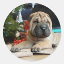 Suche nach shar pei aufkleber Hagebiss