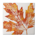 Suche nach g fliesen Herbst