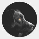 Suche nach labrador bastel zubehör Silhouette