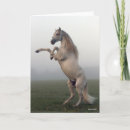 Suche nach lusitano karten Rasse