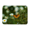 Suche nach orange schmetterling magnete Flügel