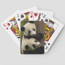 Suche nach china spielkarten Bär