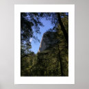 Suche nach noch fotografie poster Bäume