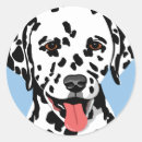 Suche nach dalmatinischer hund aufkleber Tiere