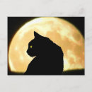 Suche nach vollmond der katze postkarten Gothic