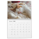 Suche nach katzen kalender Kätzchen