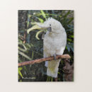 Suche nach abteilung puzzle Gelb