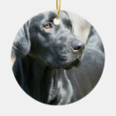 Suche nach schwarzer labrador ornamente Hund