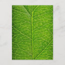 Suche nach recycling poster Nature