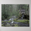Suche nach wanne poster Wald