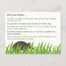 Suche nach fünen postkarten Für kinder