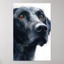 Suche nach schwarzer labrador retriever hund poster Illustration