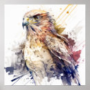 Suche nach bird painting poster Natur