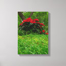 Suche nach poinsettia leinwandbilder Blumen