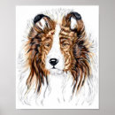 Suche nach sheltie poster Schafhund