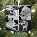 Suche nach lustiger hund ornamente Weihnachten