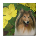 Suche nach collie fliesen Natur