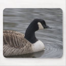 Suche nach kanada gänse mousepads Tierwelt