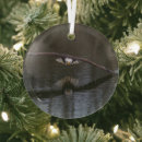 Suche nach adler ornamente Tierwelt