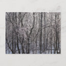 Suche nach icy postkarten Natur