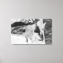 Suche nach klettern leinwandbilder Presse