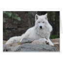 Suche nach arktische wölfe postkarten Natur