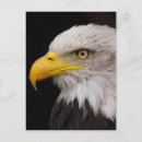Suche nach beherrschung poster Natur
