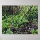Suche nach strom poster Natur