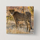 Suche nach geparden buttons Tier