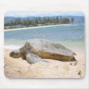 Suche nach niedliche schildkröte mousepads Schildkröten
