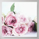 Suche nach peonie poster Flowers