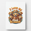 Suche nach golden retriever fotoplatten Lustig