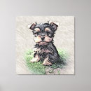 Suche nach yorkie leinwandbilder Welpe