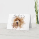 Suche nach labradoodle karten Gekritzel