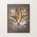 Suche nach coole katzen puzzle Kitty